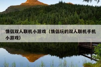 情侣双人联机小游戏（情侣玩的双人联机手机小游戏）