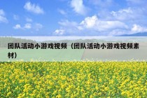 团队活动小游戏视频（团队活动小游戏视频素材）