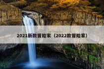 2021新款冒险家（2022款冒险家）