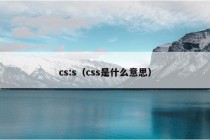 cs:s（css是什么意思）