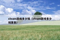 steam游戏多少钱（steam游戏多少钱算贵）