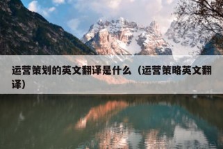 运营策划的英文翻译是什么（运营策略英文翻译）