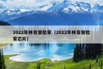 2022年林肯冒险家（2022年林肯冒险家芯片）