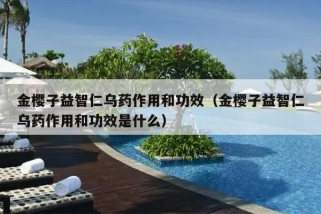 金樱子益智仁乌药作用和功效（金樱子益智仁乌药作用和功效是什么）