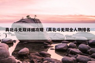 真北斗无双详细攻略（真北斗无双全人物排名）