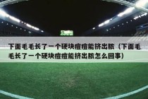 下面毛毛长了一个硬块痘痘能挤出脓（下面毛毛长了一个硬块痘痘能挤出脓怎么回事）