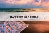 双人旁读啥字（双人旁读什么）