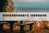 敏锐的感觉到的成语是什么（感觉敏锐的词语）