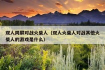 双人同屏对战火柴人（双人火柴人对战其他火柴人的游戏是什么）