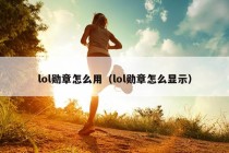 lol勋章怎么用（lol勋章怎么显示）