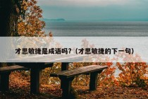 才思敏捷是成语吗?（才思敏捷的下一句）