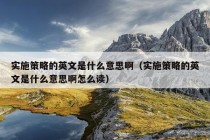 实施策略的英文是什么意思啊（实施策略的英文是什么意思啊怎么读）