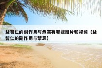 益智仁的副作用与危害有哪些图片和视频（益智仁的副作用与禁忌）