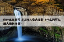 吃什么东西可以让鸡儿变大变长（什么药可以增大增长增硬）