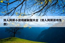 双人同屏小游戏破解版大全（双人同屏游戏免费）