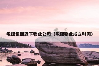 敏捷集团旗下物业公司（敏捷物业成立时间）