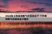 2024年十秒笑到断气的搞笑段子:十秒笑到断气的搞笑段子图片