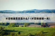 才思敏捷意思是什么?（才思敏捷猜一肖）