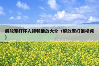 解放军打坏人视频播放大全（解放军打架视频）