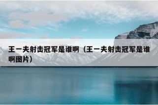 王一夫射击冠军是谁啊（王一夫射击冠军是谁啊图片）