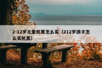 2-12岁儿童机票怎么买（212岁孩子怎么买机票）