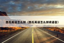 西瓜英语怎么拼（西瓜英语怎么拼读语音）