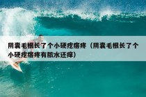 阴囊毛根长了个小硬疙瘩疼（阴囊毛根长了个小硬疙瘩疼有脓水还痒）