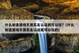 什么射击游戏不用实名认证就可以玩?（什么射击游戏不用实名认证就可以玩的）