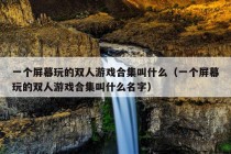 一个屏幕玩的双人游戏合集叫什么（一个屏幕玩的双人游戏合集叫什么名字）