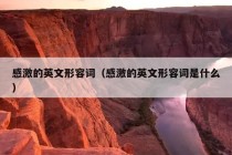 感激的英文形容词（感激的英文形容词是什么）