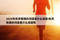 2024年机灵敏捷的词语是什么成语:机灵敏捷的词语是什么成语呢