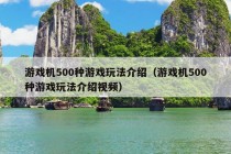 游戏机500种游戏玩法介绍（游戏机500种游戏玩法介绍视频）