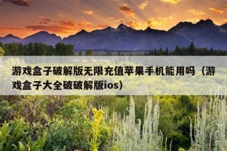 游戏盒子破解版无限充值苹果手机能用吗（游戏盒子大全破破解版ios）