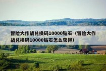 冒险大作战兑换码10000钻石（冒险大作战兑换码10000钻石怎么获得）