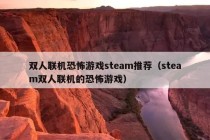 双人联机恐怖游戏steam推荐（steam双人联机的恐怖游戏）