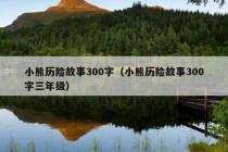 小熊历险故事300字（小熊历险故事300字三年级）