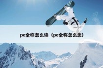 pe全称怎么读（pe全称怎么念）