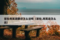 冒险用英语翻译怎么说呢（冒险,用英语怎么说）