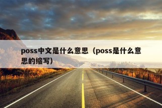 poss中文是什么意思（poss是什么意思的缩写）