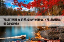 可以打死美女的游戏软件叫什么（可以随便杀美女的游戏）