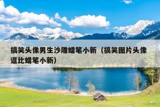 搞笑头像男生沙雕蜡笔小新（搞笑图片头像 逗比蜡笔小新）