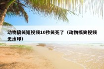 动物搞笑短视频10秒笑死了（动物搞笑视频无水印）