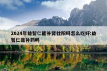 2024年益智仁能补肾壮阳吗怎么吃好:益智仁是补药吗