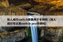 双人成行switch需要两个手柄吗（双人成行可以用switch pro手柄吗）