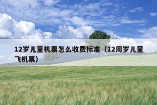 12岁儿童机票怎么收费标准（12周岁儿童飞机票）