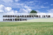 内购版游戏大全内购无限版元气骑士（元气骑士内购版下载安装304）