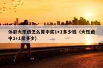 体彩大乐透怎么算中奖1+1多少钱（大乐透中1+1是多少）