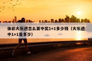 体彩大乐透怎么算中奖1+1多少钱（大乐透中1+1是多少）