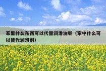 家里什么东西可以代替润滑油呢（家中什么可以替代润滑剂）