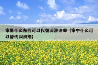 家里什么东西可以代替润滑油呢（家中什么可以替代润滑剂）